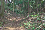 Highslide JS