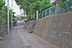 Highslide JS