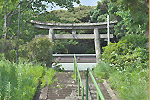 Highslide JS