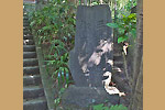 Highslide JS
