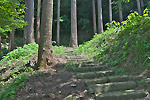Highslide JS