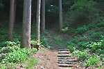 Highslide JS