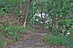 Highslide JS