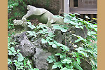 Highslide JS