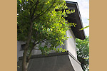 Highslide JS