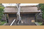 Highslide JS