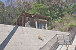 Highslide JS