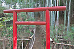 Highslide JS