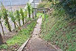 Highslide JS
