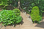 Highslide JS
