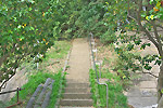Highslide JS