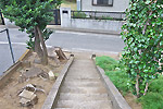 Highslide JS