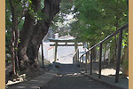 Highslide JS