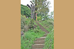 Highslide JS