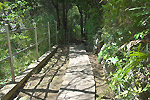 Highslide JS