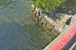 Highslide JS
