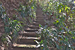 Highslide JS