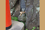 Highslide JS