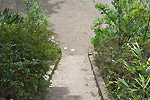 Highslide JS