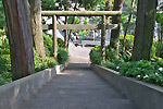 Highslide JS